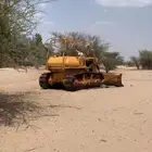 بلدروز شغال