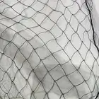 شبك صيد شبكة