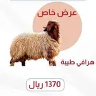ذبايح