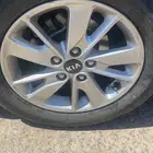 جنوط سوناتا