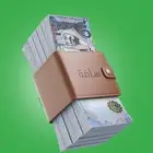 لدينا سلفه لنهايه الشهر