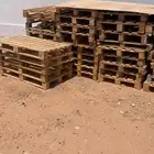طبليات