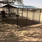 شبك حمام -دجاج