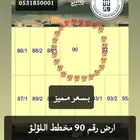 ارض مساحة 1000 متر على شارع 40 شمالا
