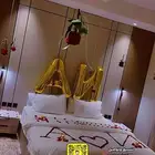 تنسيقات