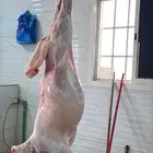 ذبايح الرس وصلخ وتوصيل