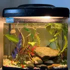 حوضين سمك للبيع مع الاسماك