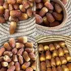 تمر صقعي طيب