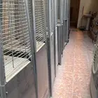 دفايات الفيصلية