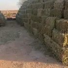 بلابنك مخلوط بدخن