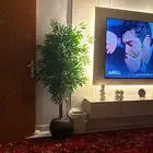 شجر صناعي بجذع طبيعي