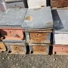 خليا أفرنجي