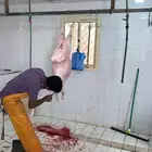 ذبايح