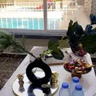 استراحة نيولاند للإيجار اليومي