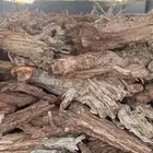 ارطى يابس شرط دينه