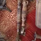 قطع جيب ربع موديل 19