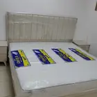 جديد غرفه آلنوم نفرين