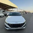 هيواندي النترا 2021 بطاقة جمركية