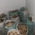 خبز