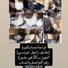 فراخه