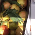 رمان الباحه فاخر جدا