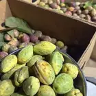 لوز بجلي قطفي