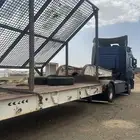 لوبد متواجد في القصيم