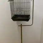 استاند طيور