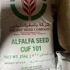 بذاار برسيم كاف 101 متوفر حسب الطلب