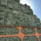 تحميل اعلاف برسيم رودس تبن زريعا عجور ذره مخلوط الى انحاء ا