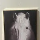 لوحتين للبيع وحده كبيره وحده وسط