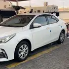 كورلا 2019