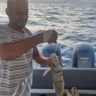 الرايس قارب صيد