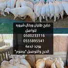 ذبايح حريات خرفان ورخال