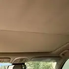 جينيس Ginesis
