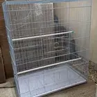 مطير بادجي او روز جديد ( تم البيع )