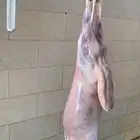 ذبايح القصيم