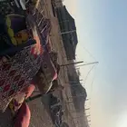 اغراض مخيم للبيع مع دبابات وماطور