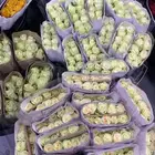 ورد  جمله