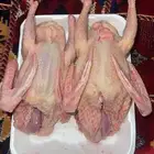 حمام سوبر جامبو