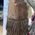 ميركه ذلول