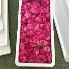 ورد طائفي