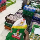 مشروع دواجن كامل للبيع او للايجار او شريك براس المال التشغيل