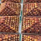تمور فاخره من الآخر
