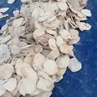 خبز ناشف صافي