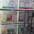 قفص ادوار في كرتونه قفصين كل قفص ثلاثه ادوار