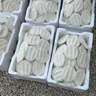 بقل سمن مضير آقط