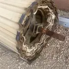 باب كراج بايكه