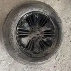 جنوط ديماكس