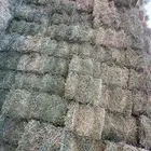 برسيم للبيع